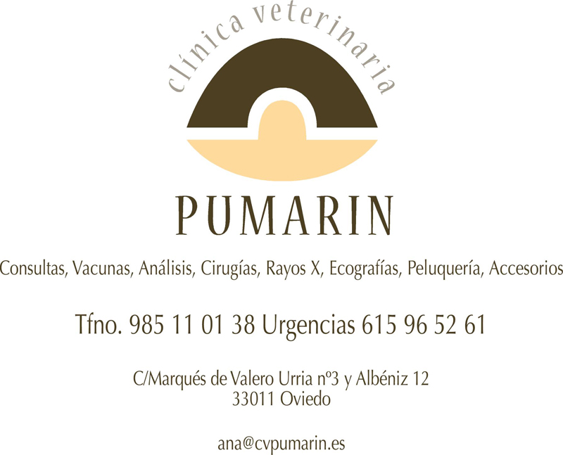 Clinica Veterinaria Pumarin